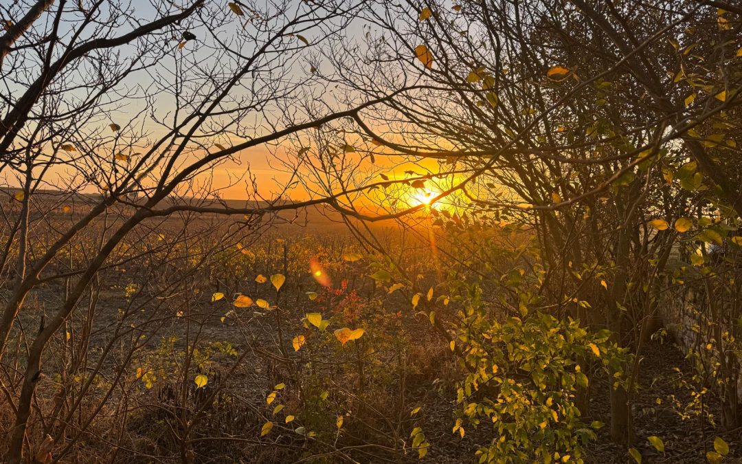 l’Automne es là !